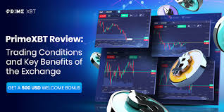 Exploring the PrimeXBT Website A Comprehensive Overview Exploring the PrimeXBT Website A Comprehensive Overview