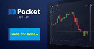 Pocket Option Brasil O Guia Completo para Traders Iniciantes